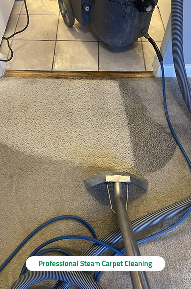 Professional Steam Carpet Cleaning Professional Steam Carpet Cleaning